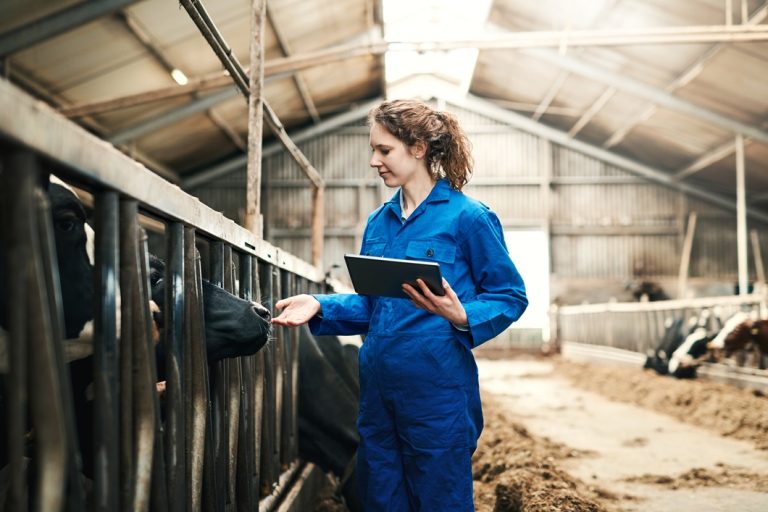 Dierenwelzijn roodvlees onbedwelmd