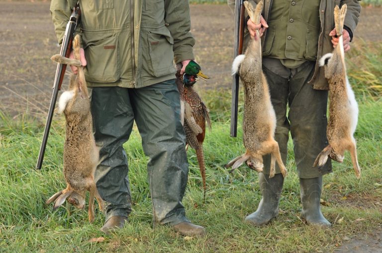 Training wildkennis